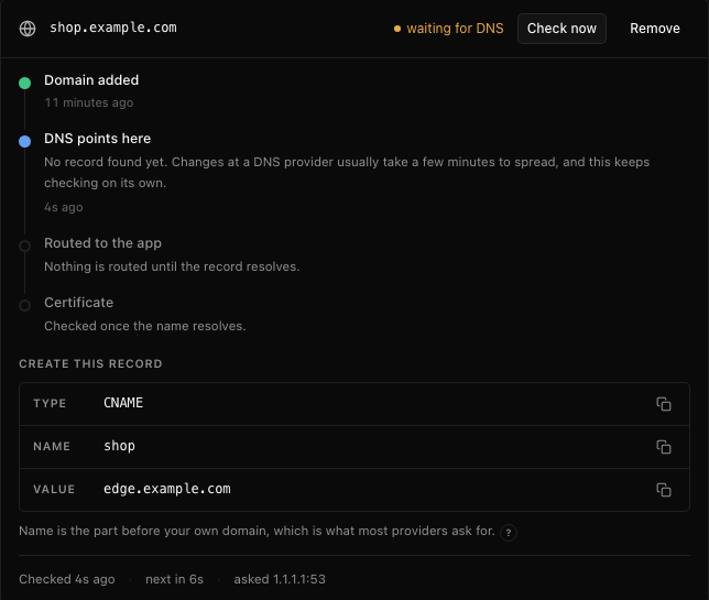 A custom domain being added: each step from domain added to certificate, and the CNAME record to create.